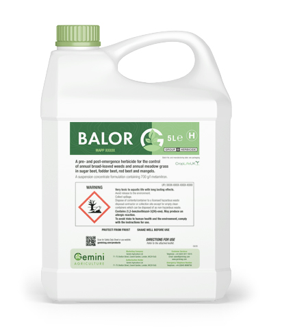 balor
