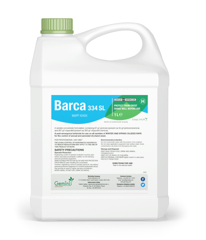 barca 334 sl